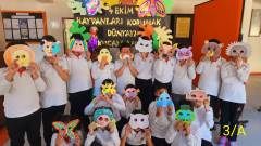 Evrensel Kolej